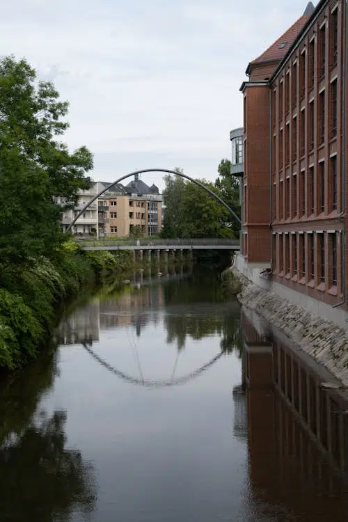 WordPress Agentur Halle (Saale) – warum die Händelstadt digitale Sichtbarkeit braucht Webdesign - David - Keiser - Website - erstellen - lassen